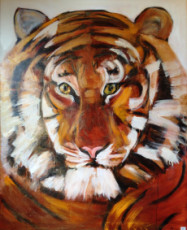 tigre