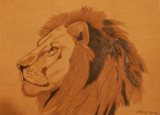 regard-de-lion-2008