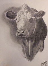 la-vache