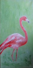 flamant-rose