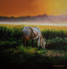 cheval-au-soleil-couchant