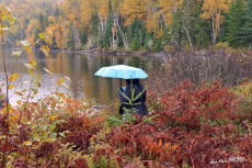 le-parapluie-bleu