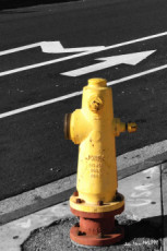 hydrant