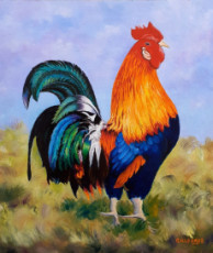 sa-majeste-le-coq