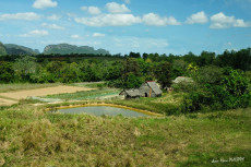 la-petite-ferme