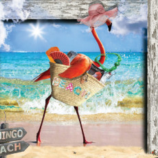 flamingo-beach