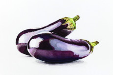 nature-morte-aux-deux-aubergines