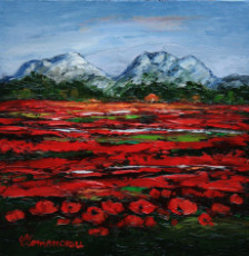 coquelicots-dans-les-alpilles