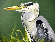 heron-cendre