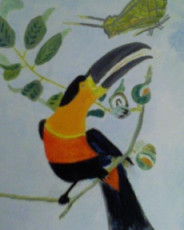 toucan