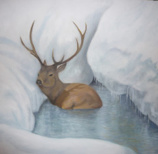 le-bain-du-cerf