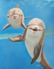 dauphins