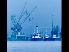 les-grues-du-port