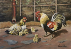 coq-et-poule-la-petite-famille