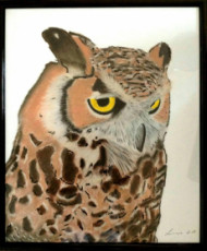 hibou