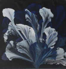 fleur-bleue