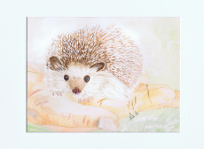 the-hedgehog-papier