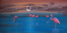 flamants-roses