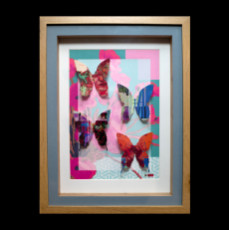 collection-papillon-ziiart-10