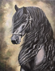 le-frison