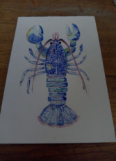 homard-bleu