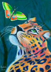 el-leopardo-y-la-mariposa