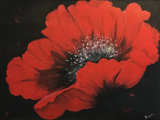 comme-un-coquelicot