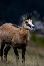 rencontre-matinale