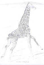 giraffe