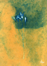 cyanotype-sur-papier-dart