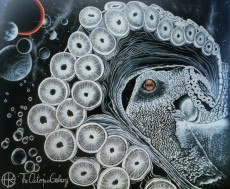 the-octopus-galaxy