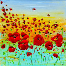 ecarlates-coquelicots