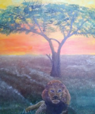 couchee-de-soleil-savane-lion