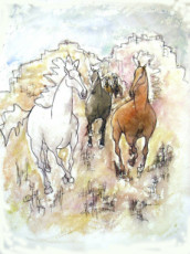 cheval-blanc