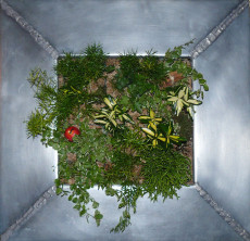 tableau-vegetal