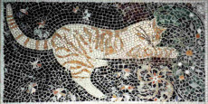 le-chat-tigre-virevoltant-avec-les-etoiles