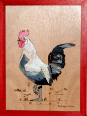 le-coq