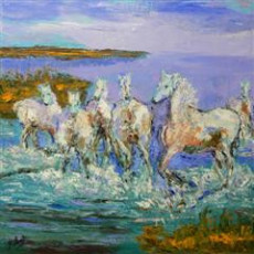 chevaux-de-camargue